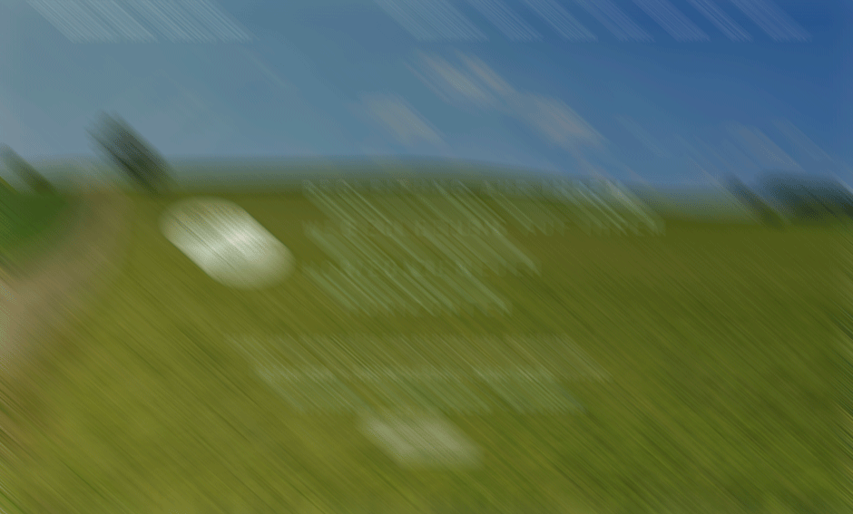 Portfolio Gerhard Friedl - effectory